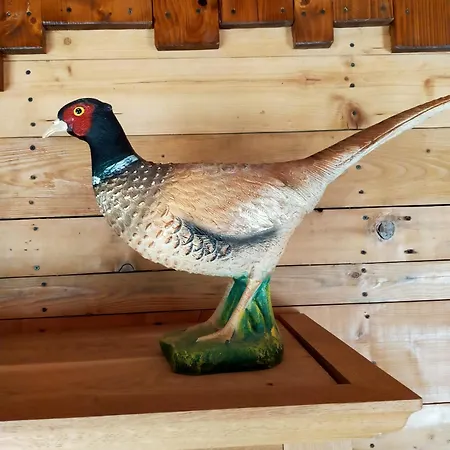 Le Poulailler Des Mios