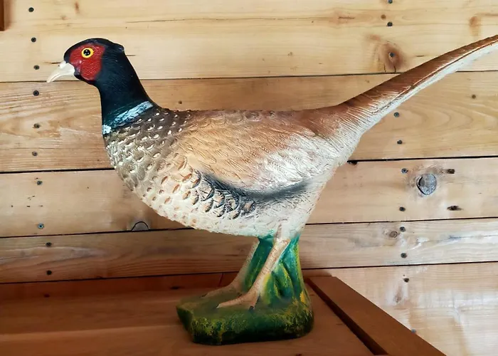 Le Poulailler Des Mios